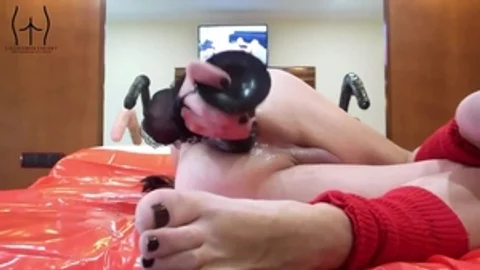 Floozyjezebelle Ass Adventures An A Slut Albuem V
