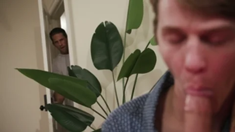 Bachelor Party Surprise - A Jim Powers Spotlight