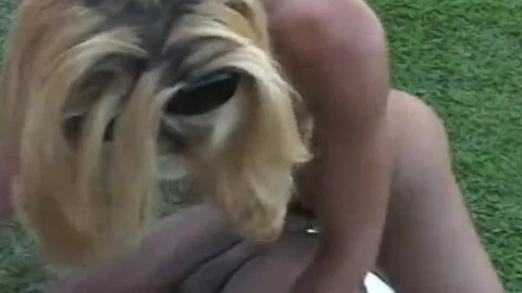 Two Gay Dudes And Tranny Lisa Lawer Outdoors Fucking Each Others Ass Holes